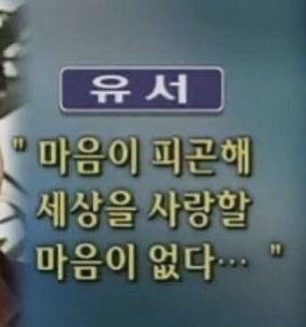 유서 마음이 피곤해 세상을 사랑할 마음이 없다