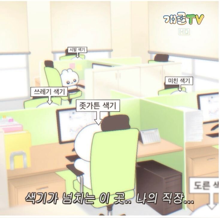 직장 회사 회사원 직장인 색기가 넘치는 나의 직장 쓰레기 미친 시발 좃가튼