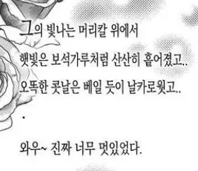 보석가루 햇빛 감성글 장미