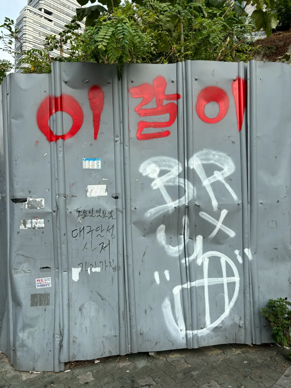 이갈이 광기 기괴 공포 낙서 길거리 대구 스프레이 웃긴