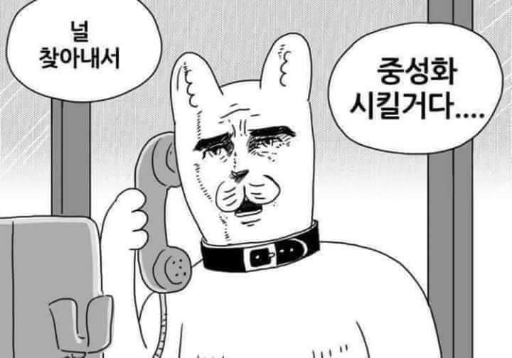 고양이 중성화 전화 널 찾아내서 중성화 시킬거다