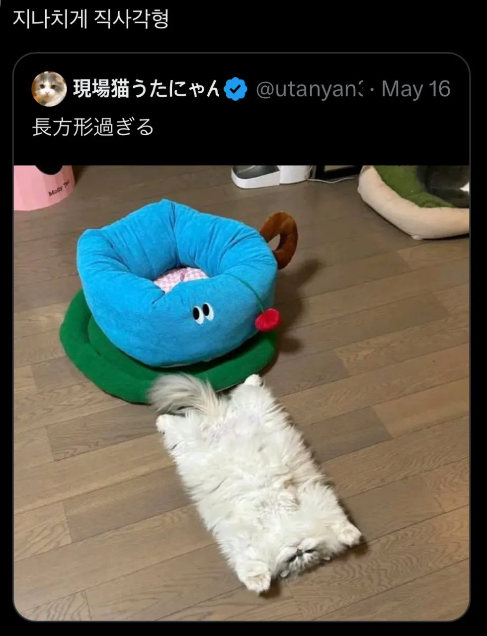 냥짤