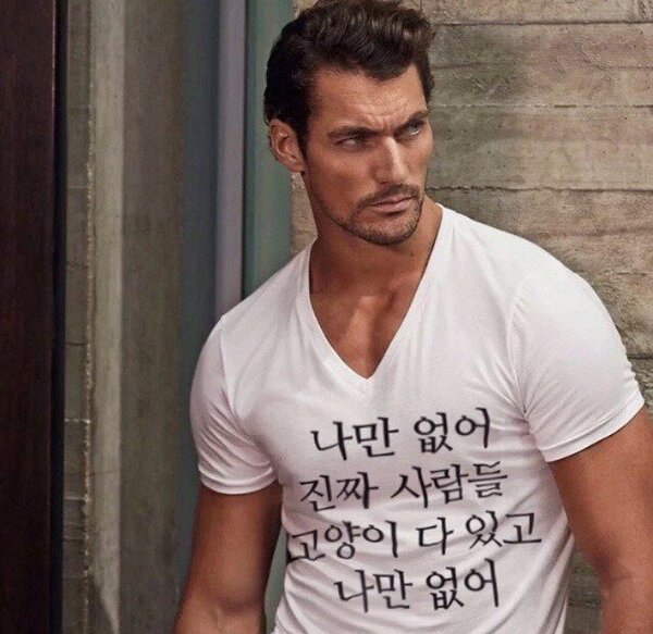 고양이 나만 없어 사람들 다있어 냥이
