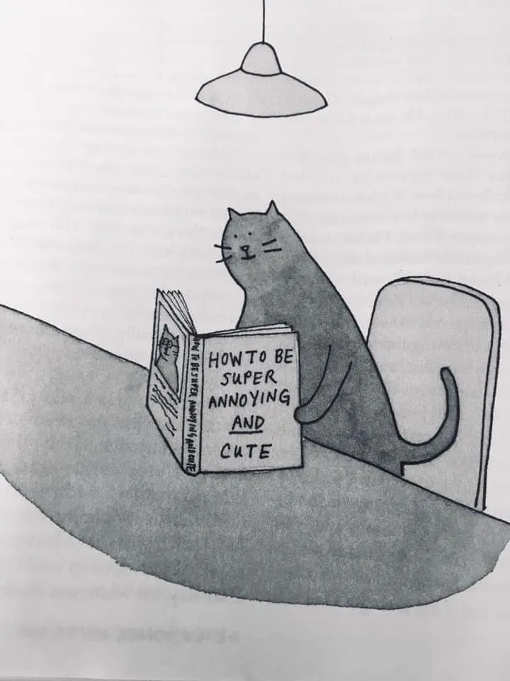 냥짤