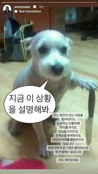 지금 이 상황 설명해주세요 황당 동물