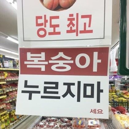 복숭아 누르지마 당도 최고
