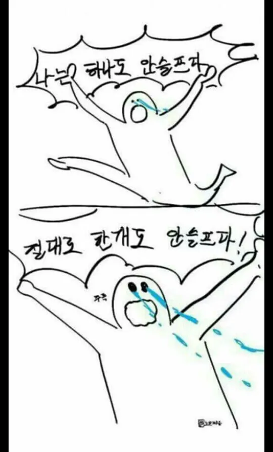 유유 슬픔 눈물