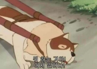 뭐하는거야 어서 일어나 파트라슈 일해라 일 노예 직장 직장인