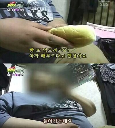 SOS 거대한 열세살 빵 돼지 배부르다고 들어가는데요