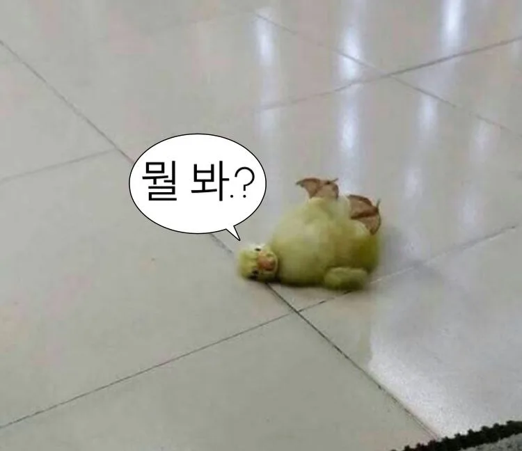 뭘봐 오리