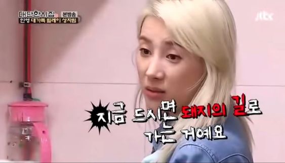 지금 드시면 돼지의 길로 가는 거예요 돼지 다이어트 살찐다 운동