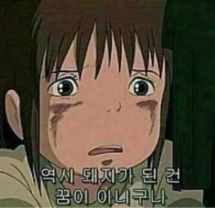 돼지