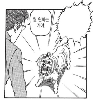 뭘 원하는 거야.. 강아지 만능짤 생성기