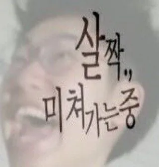 살짝 미쳐가는중 손글씨 무기력
