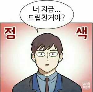 드립 웹툰 정색