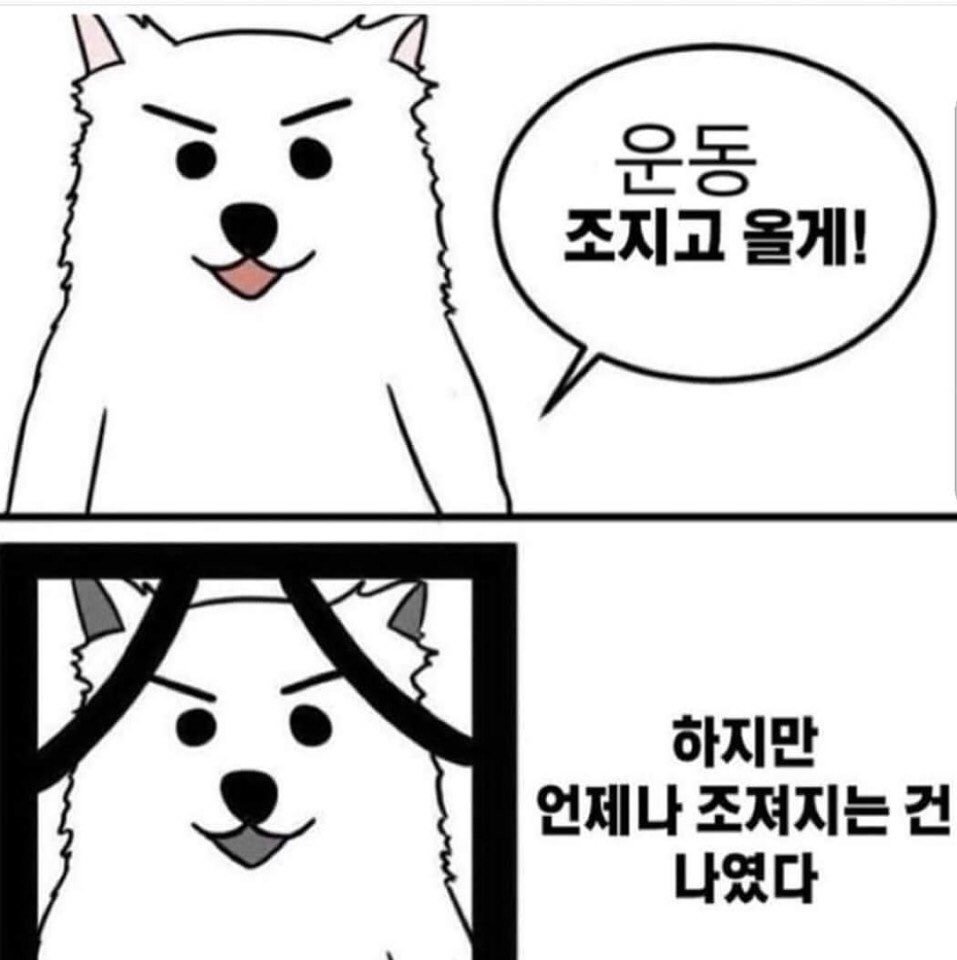 운동 헬스