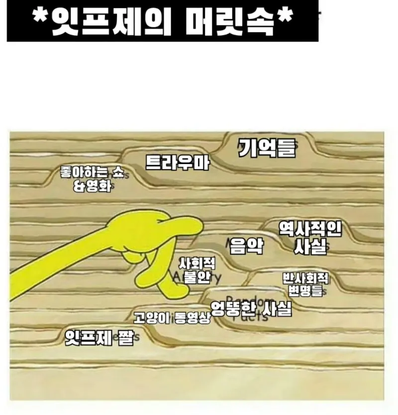 ISFJ MBTI 잇프제 머릿속 스폰지밥 뇌구조 공감 특징 생각 고민
