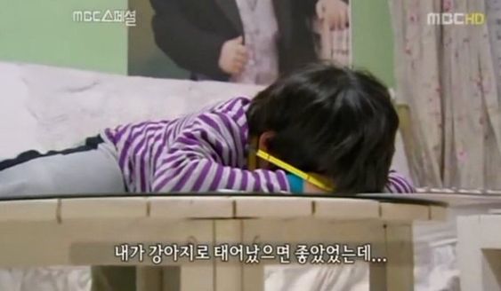 공부 싫어 하기싫어 내가 강아지로 태어났으면 좋았었는데 강아지