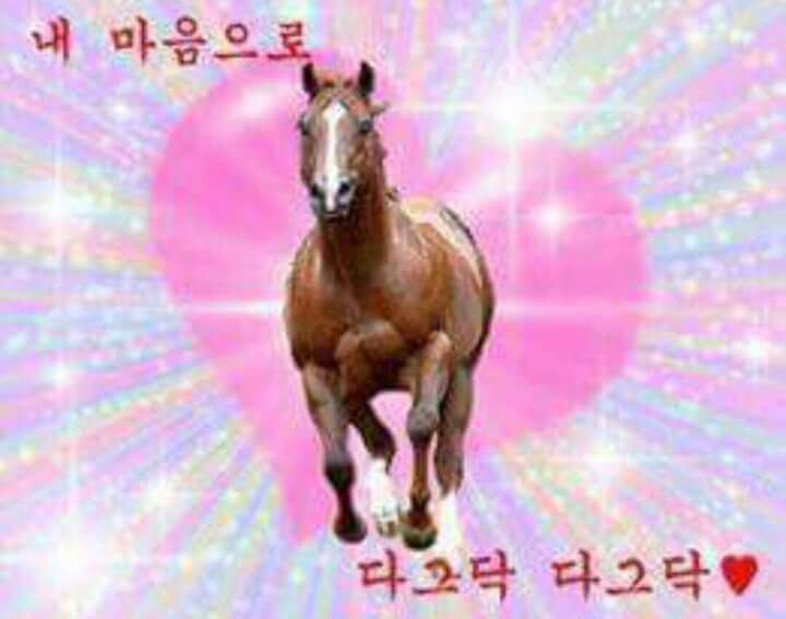 다그닥 말 핥 연애