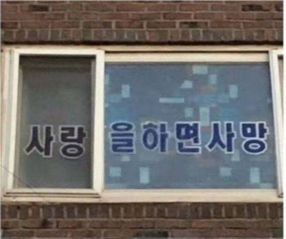 사랑을 하면 사망 사랑 간판 모쏠 솔로 연애