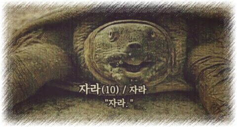 잠 자라 인사