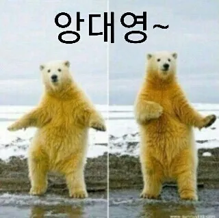 안돼