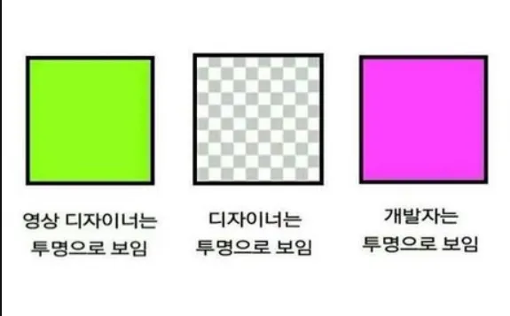 영상 디자이너 개발자 투명도 공감 직업병 차이 크로마키