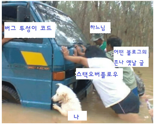 아이시스 개발자 코딩 버그 스택오버플로우 블로그 현실 고통 하느님 웃픈