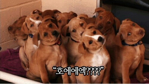 ? 호에에엑 질문 의문