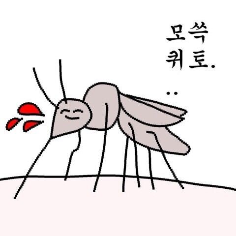 모쓱퀴토 모기 머쓱 당황 민망 무안 언어유희 아재개그 웃긴