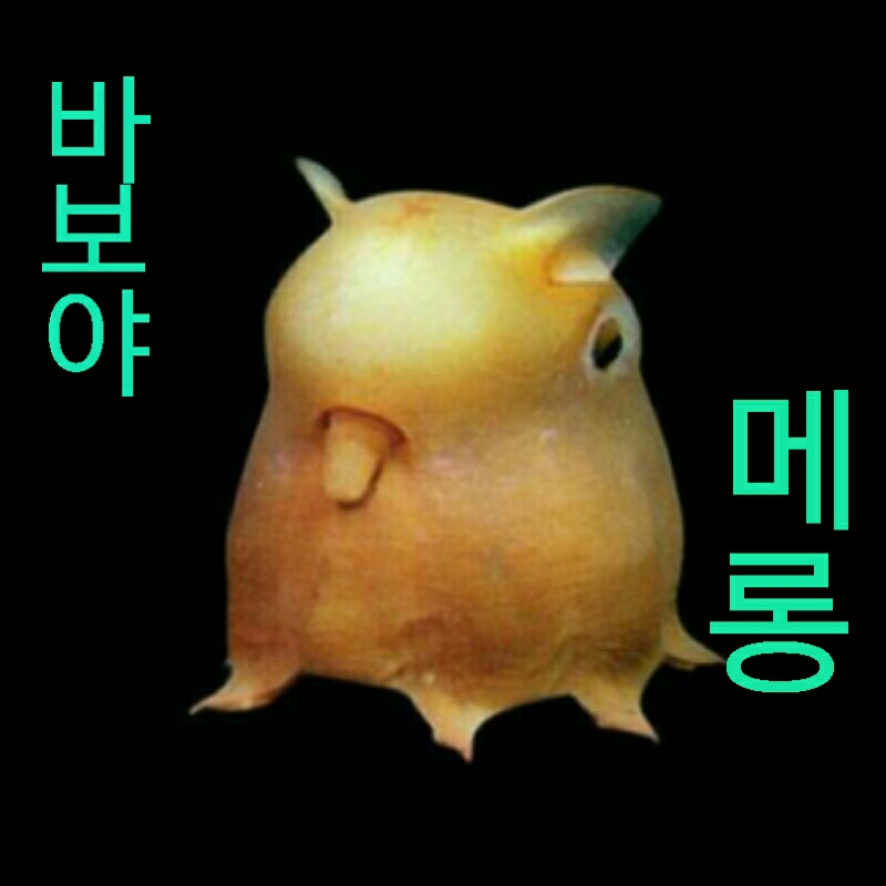 메롱 바보 놀림