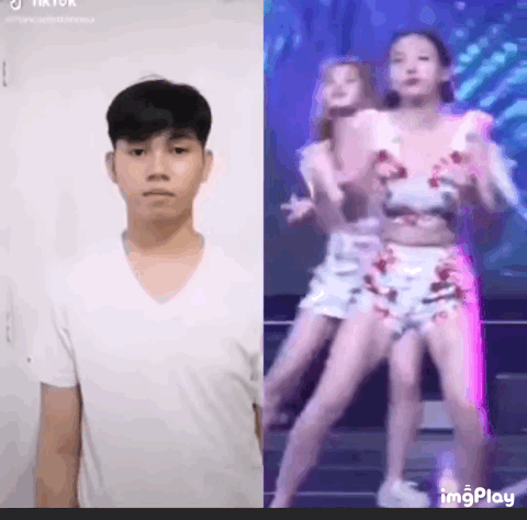 탈모견인 머미리 탊모 대머리