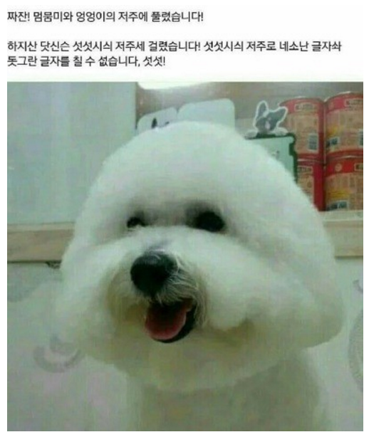 섯섯시